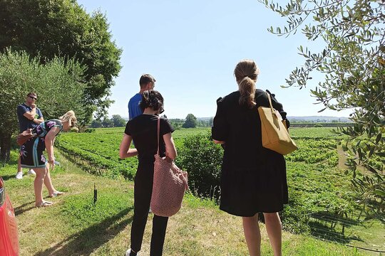 Tour image 2