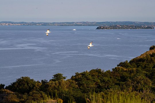 Tour image 8